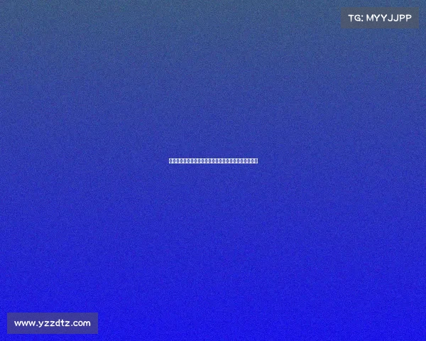 德甲足球明星风采：从顶级球员到未来之星的崛起与挑战